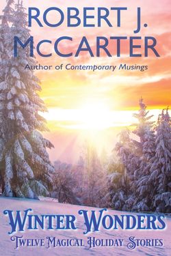 Book cover for Winter Wonders